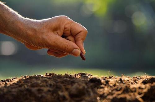 土壤养分检测仪