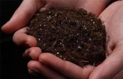 土壤养分快速检测仪检测土壤环境养分情况