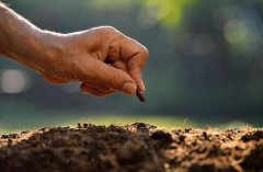 土壤肥料检测仪提升农业生产可靠程度
